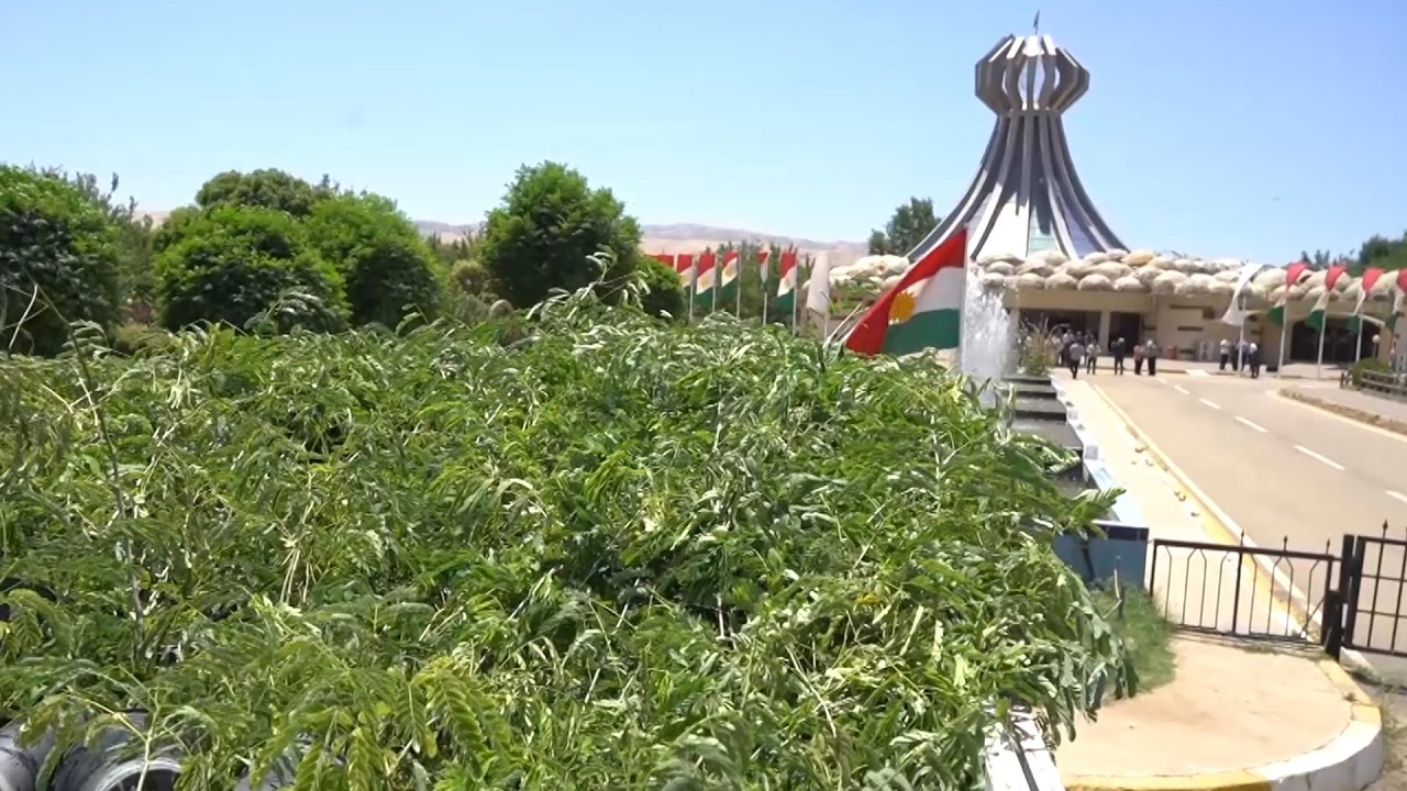 ڤیدیۆ | چالاكوانێكی كەربەلا 5000 نەمام پێشكەشی هەڵەبجە دەكات