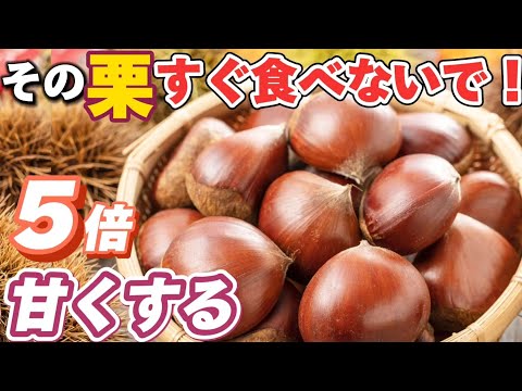 地面に落ちた栗