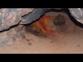 Konganar Cave Promo