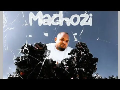 Stamina shorwebwenzi feat Bushoke   Machozi  lyrics video