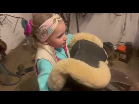 @Kocham konie, przygotowanie konia do jazdy, ćwiczenia na koniu, jazda na kucyku konie, kucyki, owce