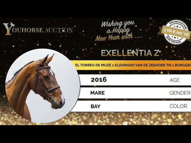 Exellentia showvideo