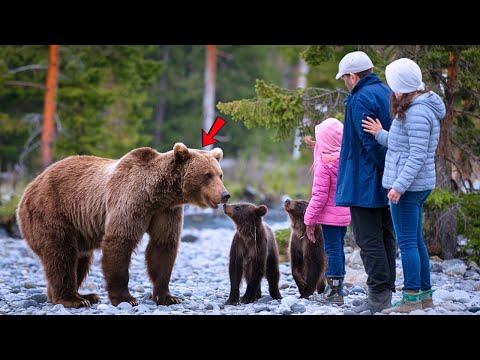 Freezing Bear Begs for Help for Her Cubs—What This Family Did Was Shocking