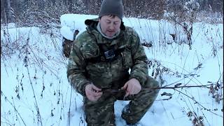 Где найти чернобыльника для рыбалки