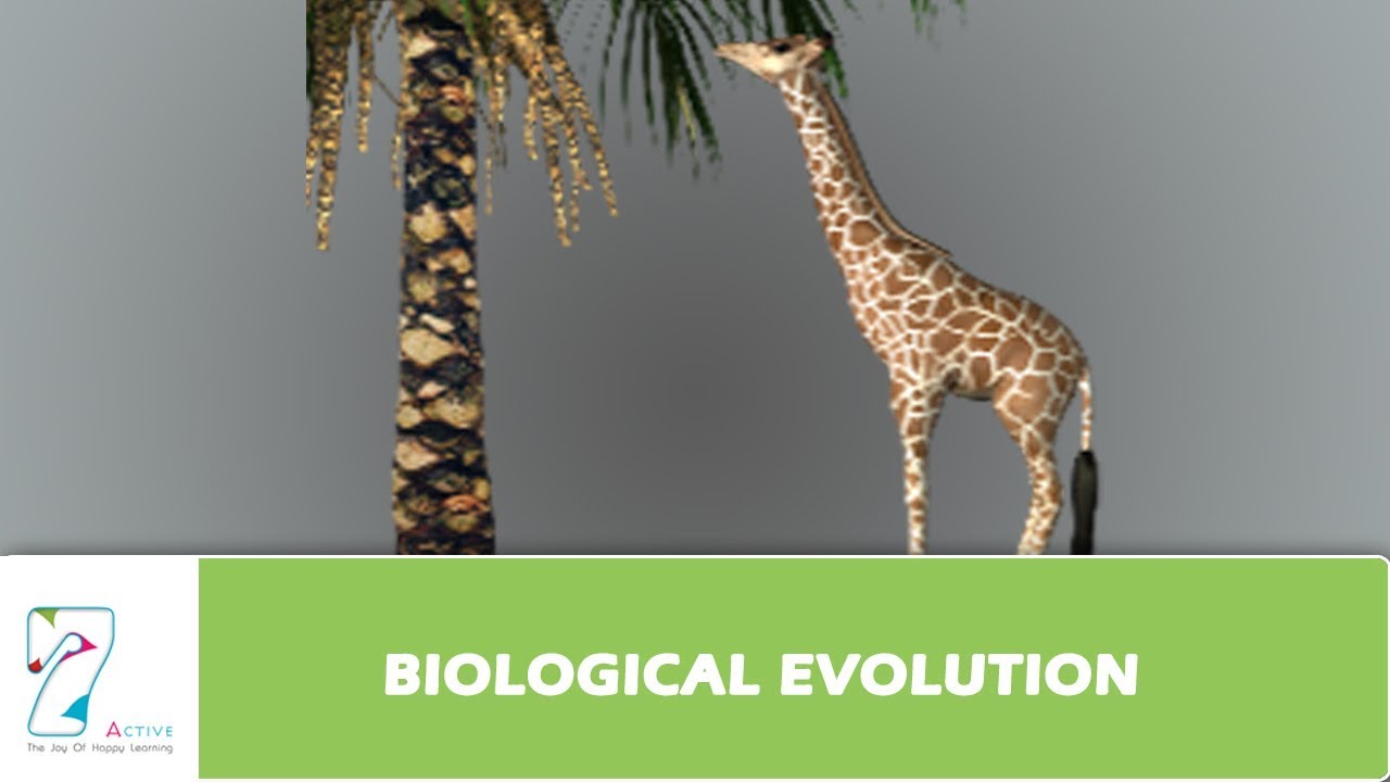 BIOLOGICAL EVOLUTION