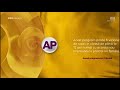 Pro Gold Arculat 2017