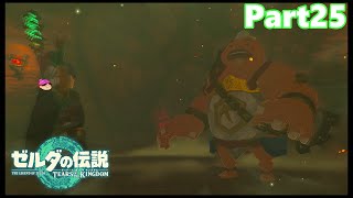 【25】ぼっち勇者の天空探検【ゼルダの伝説ティアーズオブザキングダム】