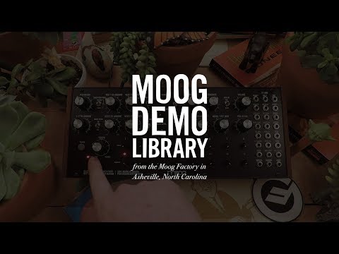 DFAM | Kick Snare Patch