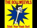 Bollweevils- Suzys revenge