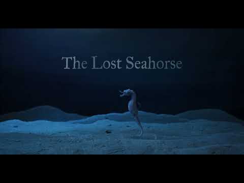 The Lost Seahorse