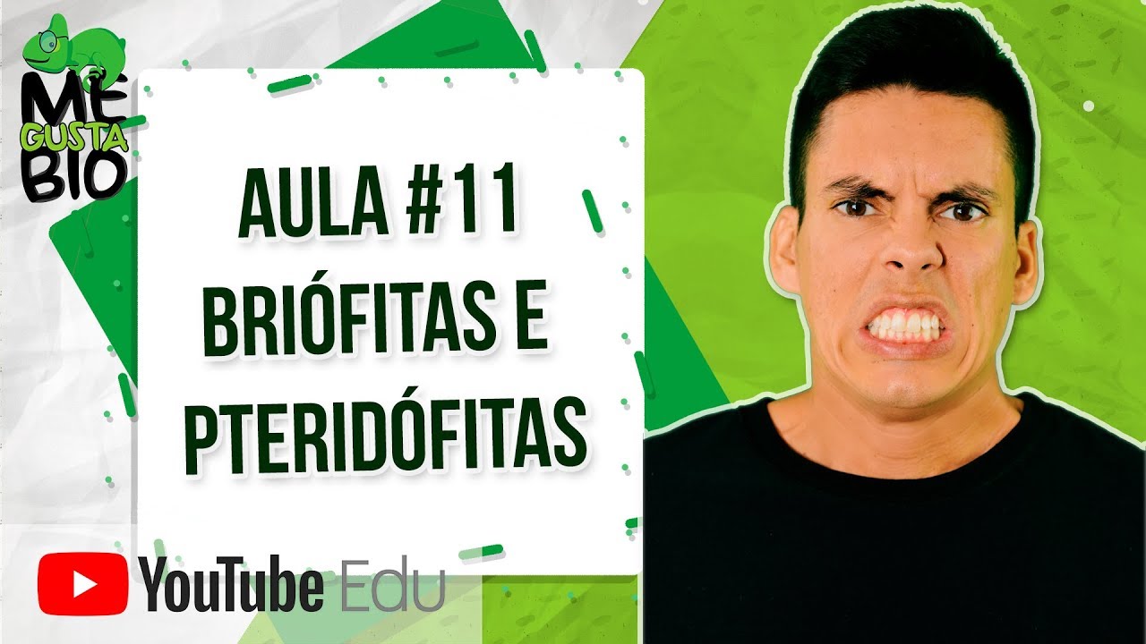 Briófitas e Pteridófitas - Me Gusta Bio com Professor Gustavo Schmidt