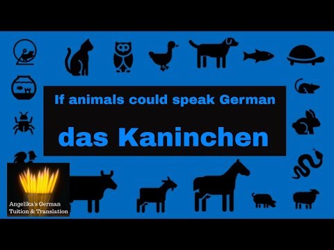 YouTube video about: How do you say rabbit in german?