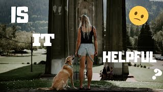 CRITICISM.. | #VANLIFE