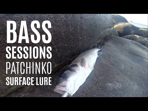 Patchinko Surface Lure Fishing for Bass | Guernsey Fishing