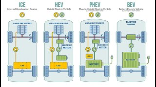ICE/BEV/HEV Vibration Environments