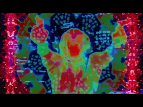 Run Vaylor - Predator