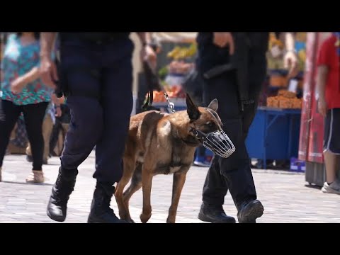, title : 'Επιχείρηση της Ελληνικής Αστυνομίας στο κέντρο της Αθήνας'