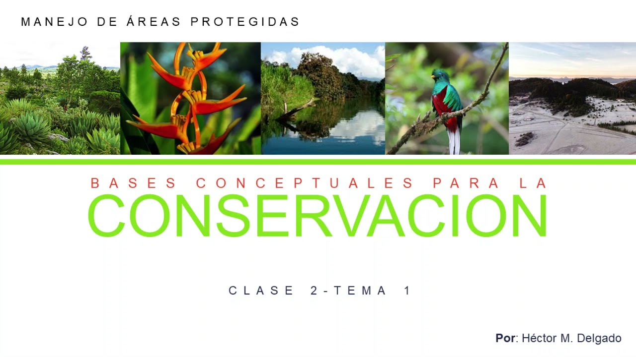 LOS SISTEMAS NATURALES