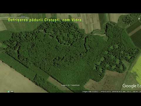 Padurea Cretesti