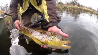 preview picture of video 'Hogs on the Fly trophy brown trout December streamer fishing'