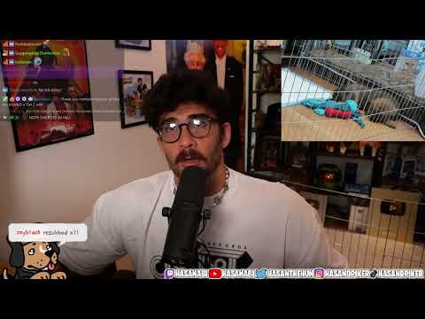 HasanAbi April 27, 2023 – Steven Crowder Divorce Leaks, Korean Gun Cult (Moonies),Disco Elysium REUP