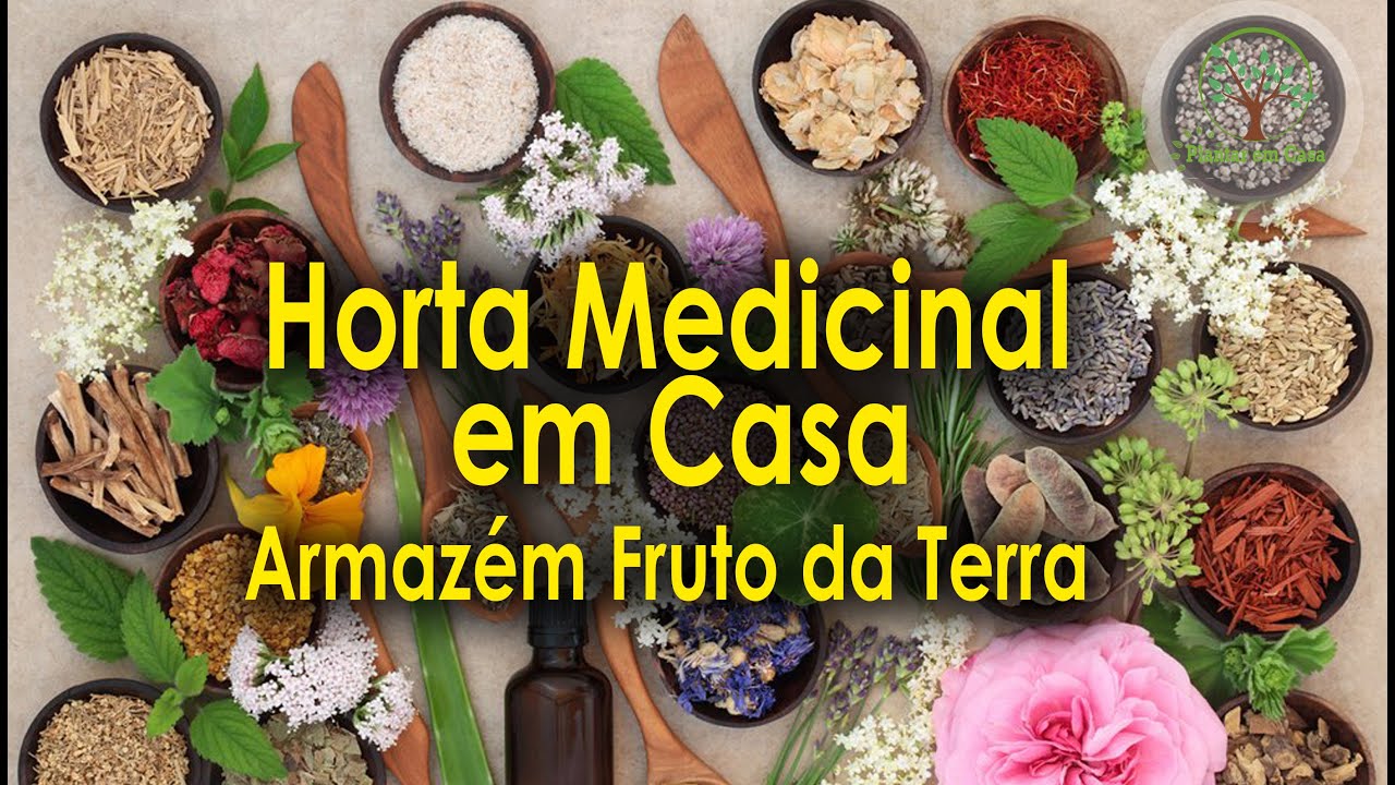 Horta Medicinal em Casa com Sandra Regina, Armazém Fruto da Terra. Videos Especiais