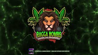 Cypress Hill &amp; Damian Marley - Ganja Bus (Speaker Louis Bootleg)