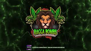 Cypress Hill &amp; Damian Marley - Ganja Bus (Speaker Louis Bootleg)