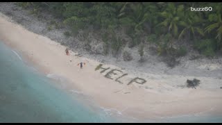 💔 Jerry Cantrell Solitude 💔