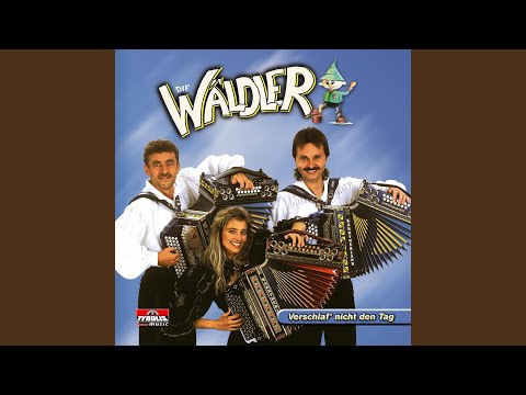 Eine Reise mit Musik