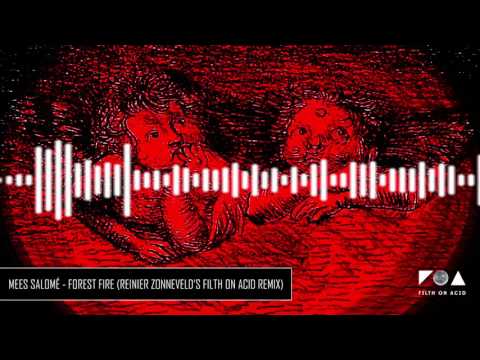 Mees Salomé - Forest Fire (Reinier Zonneveld's Filth On Acid Remix)