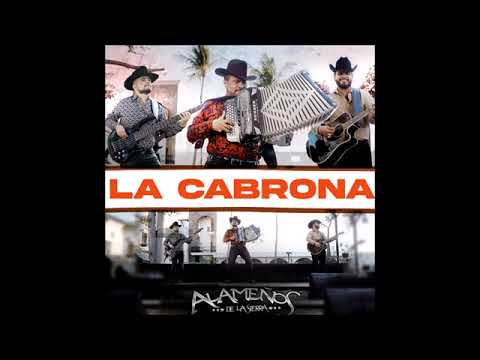 La cabrona - Alameños de la sierra 23 #pasitosierreño