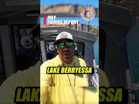 Lake Berryessa Fishing Report | July 2026