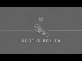 Healer