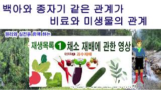 백아와 종자기 같은 관계가 바로 비료와 미생물의 관계(비료의 강 영양소 실체, 비료가 녹는 과정, 비료의 흡…