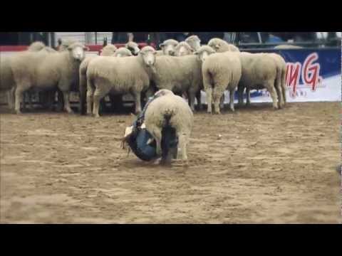 Math the Band - "Get Real" Music Video