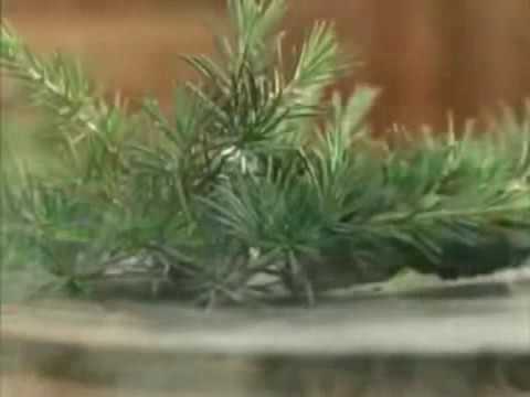 1291 Palmolive Thermal Spa Werbung Sandra Bullock 2007