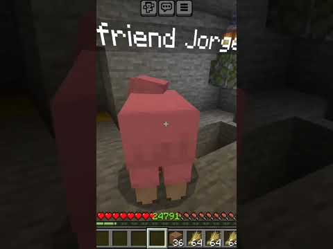 Jorge's FINAL -6999 Hardcore Minecraft World 😱