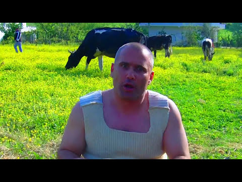 Mr Elvis - Disko Sharra (Official Video)