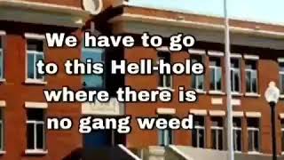 Download lagu why school sux mp3 Download lagu why school sux mp3