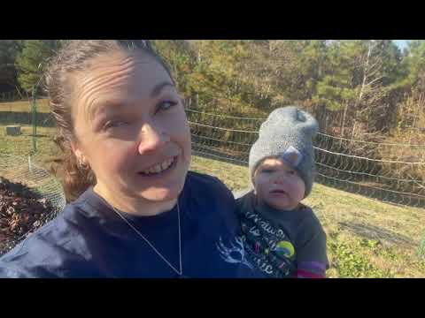 Setting up a chicken compost system