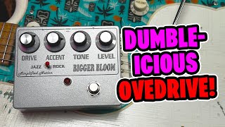 Video thumbnail for Amplified Nation Bigger Bloom | Dumble Style Overdrive Pedal by R.J. Ronquillo