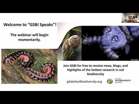 GSBI Speaks Webinar: The underestimated role of soil animal diversity in bioturbation