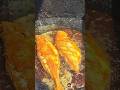 Shorts Vibe Song With Fresh Fish Find The Location Guys