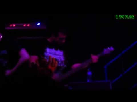 Disturbance Project "IX Brutalmeria Fest"