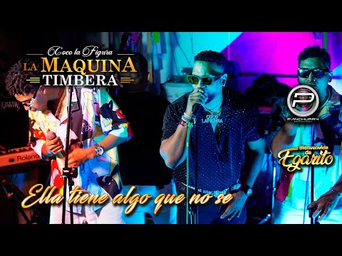 Ella Tiene Algo Que No Se /Yo No Te Deje Por Mala /La Manitú  || La Maquina Timbera 🎼"b.v." Egarito