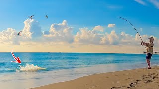 Is This the Most EPIC Bait Migration in the WORLD? **Surf Fishing on Steroids**