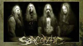 Sarcolytic - Wine Like Clotted Blood