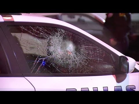 Dallas sledgehammer spree damages 12 police cars