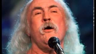 David Crosby -  Long Time Gone Live.